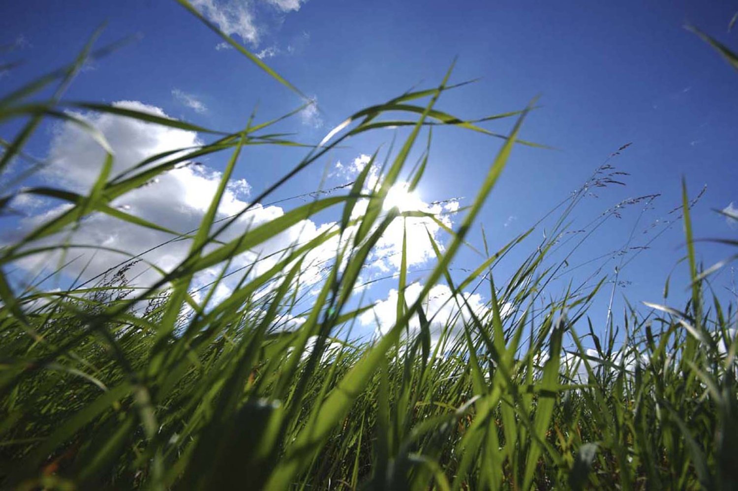 Grundstück in Starnberg, Germany, Nr. 297369