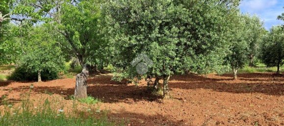 Studio in Carovigno, Italy, Nr. 76610 5