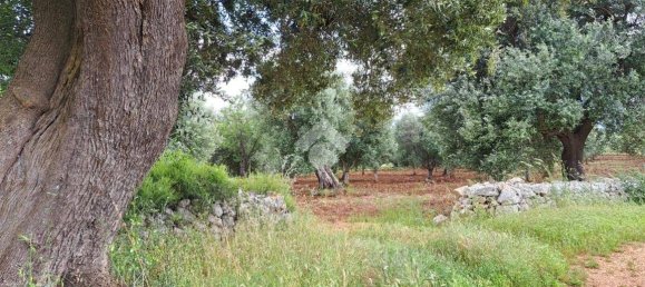 Studio in Carovigno, Italy, Nr. 76610 9