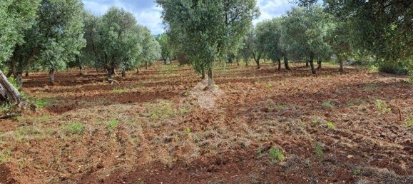 Studio in Carovigno, Italy, Nr. 76610 12