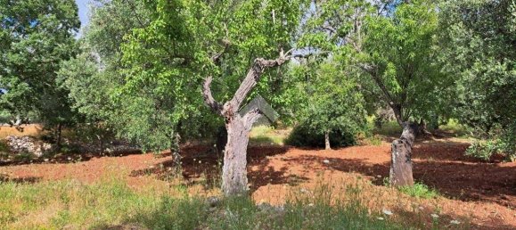 Studio in Carovigno, Italy, Nr. 76610 8