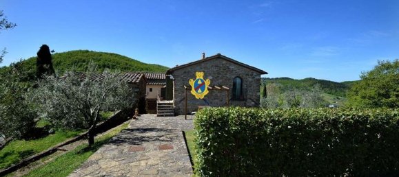 40 rooms Castles in Greve in Chianti, Italy No. 214197 29