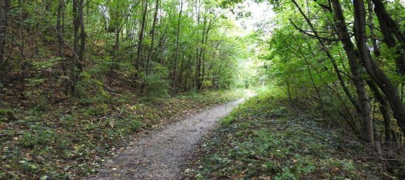 Terrain à Kaltenleutgeben, Austria 19357m² No. 30648 3