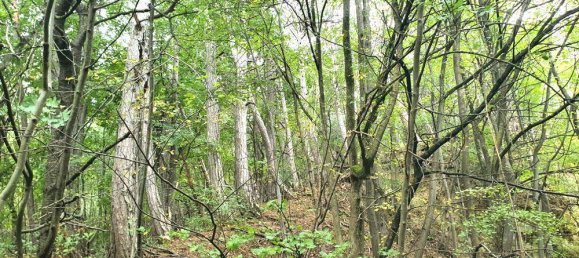 Terrain à Kaltenleutgeben, Austria 19357m² No. 30648 5