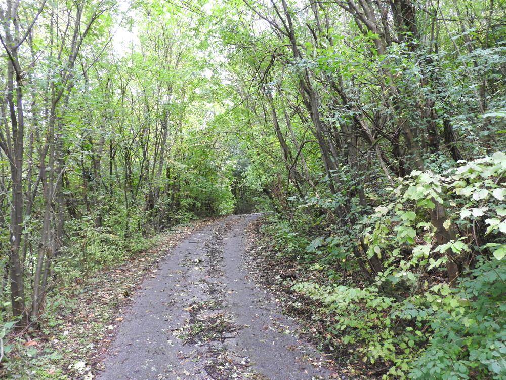 Terrain à Kaltenleutgeben, Austria 19357m² No. 30648