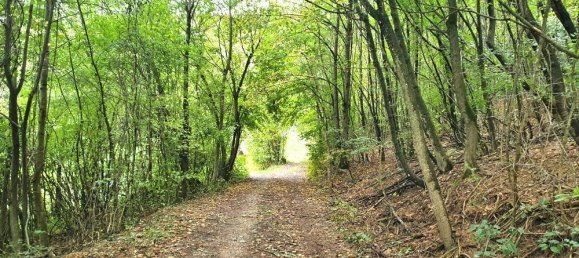 Terrain à Kaltenleutgeben, Austria 19357m² No. 30648 7