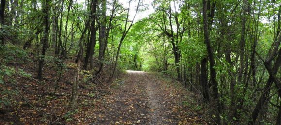 Terrain à Kaltenleutgeben, Austria 19357m² No. 30648 2