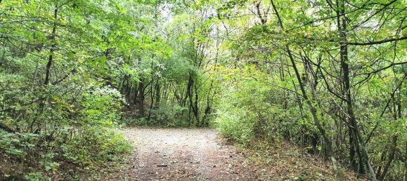 Terrain à Kaltenleutgeben, Austria 19357m² No. 30648 6