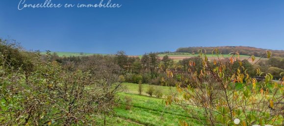 3 غرف نوم منزل في Neunkirchen-les-Bouzonville, France رقم 209874 15