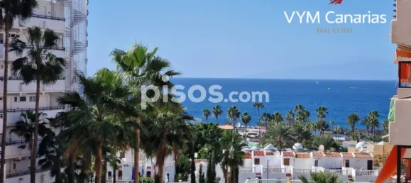 1 chambre Appartement à Adeje, Spain No. 119521 21