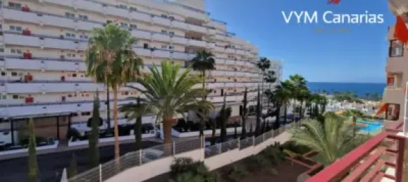 1 chambre Appartement à Adeje, Spain No. 119521 15