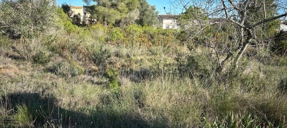  قطعة أرض في El Montmell, Spain 1828متر مربع رقم 157351 6