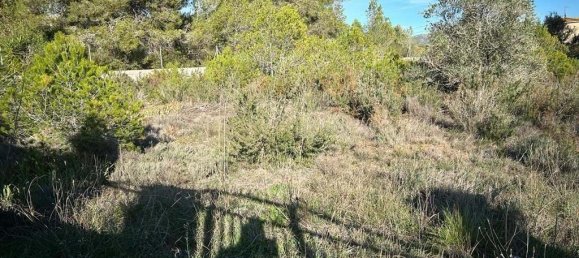  قطعة أرض في El Montmell, Spain 1828متر مربع رقم 157351 5