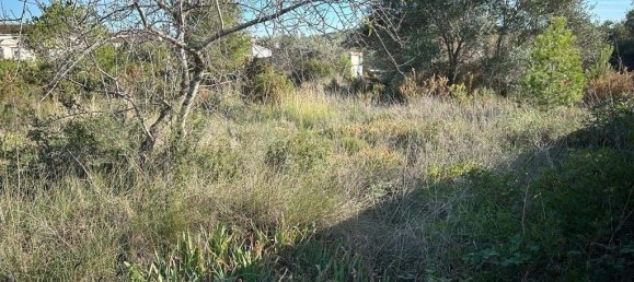  قطعة أرض في El Montmell, Spain 1828متر مربع رقم 157351 7