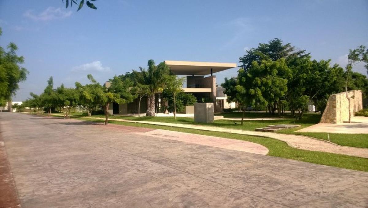  Land in Merida, Mexico No. 119166