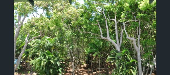 2 bedrooms Apartment in Rainbow Beach, Australia No. 906 9