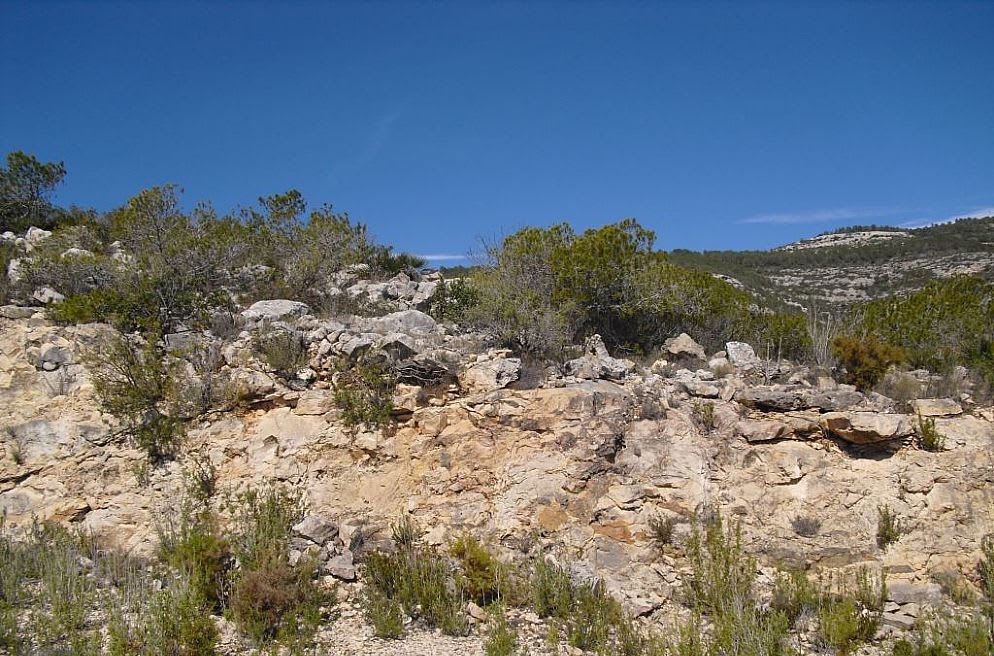  قطعة أرض في Alcala De Xivert, Spain 2016متر مربع رقم 184525