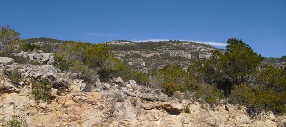 Terreno en Alcala De Xivert, Spain 2016 m² No. 184525 4