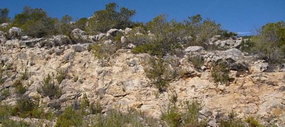 Terreno en Alcala De Xivert, Spain 2016 m² No. 184525 2