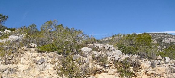 Terreno en Alcala De Xivert, Spain 2016 m² No. 184525 5