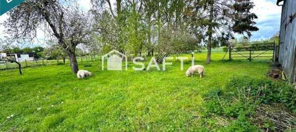 4 chambres Maison à Isbergues, France No. 66297 10