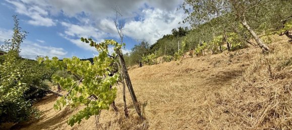 Casa de 10 habitaciónes en Lucca, Italy No. 267632 26