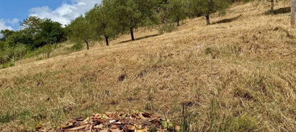 Casa de 10 habitaciónes en Lucca, Italy No. 267632 6