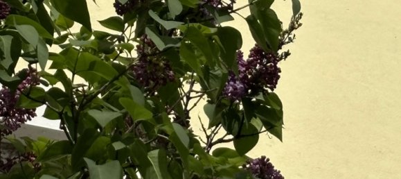 5-salle Maison à Aichach-Friedberg, Germany No. 219252 6