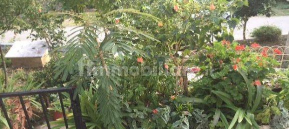 Casa T2 em Gissi, Italy N.º 236139 22