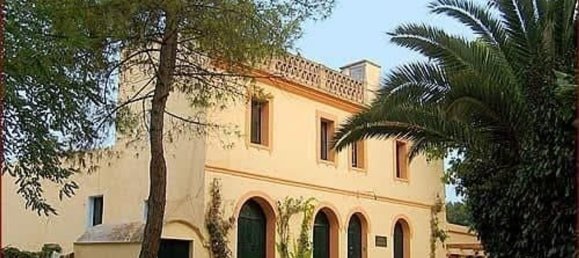 Дом с 10 спальнями в Торрелавит, Испания № 109183 3