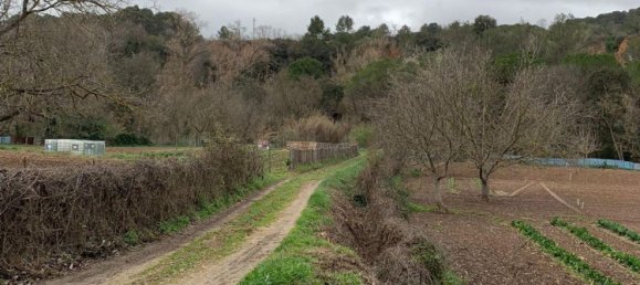 Дом с 10 спальнями в Торрелавит, Испания № 109183 31