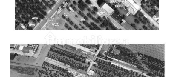 3 bedrooms Apartment in Cerignola, Italy No. 36390 3