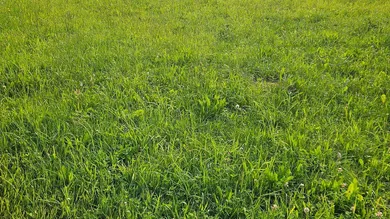  Land in Hermagor-Pressegger See, Austria No. 151215