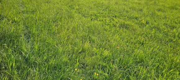  Land in Hermagor-Pressegger See, Austria No. 151215 5