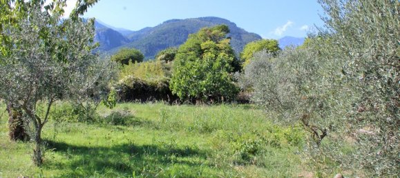 5 chambres Propriété commerciale à Litochoro, Greece No. 4063 23