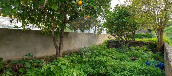 3 Schlafzimmer Haus in Sao Martinho das Amoreiras, Portugal, Nr. 184733 21