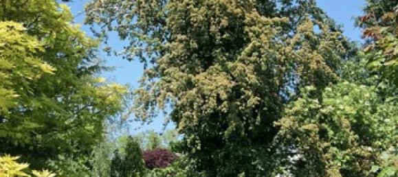 Таунхаус с 2 спальнями в Кёльн, Германия № 218343 20