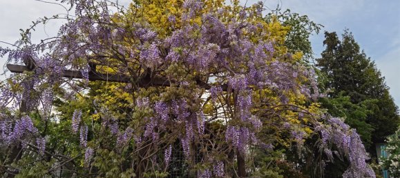 Таунхаус с 2 спальнями в Кёльн, Германия № 218343 21