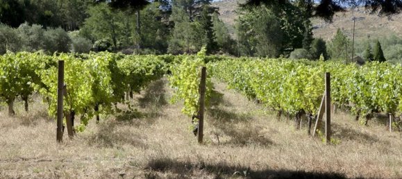 9 chambres Hôtel à Abrunhosa a Velha, Portugal No. 41364 19