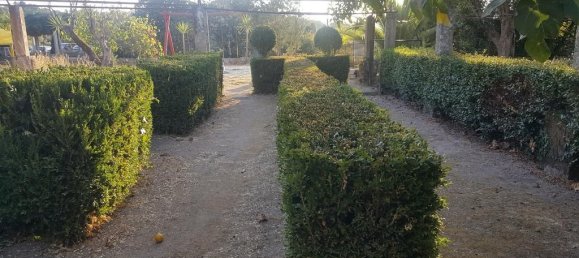 9 chambres Hôtel à Abrunhosa a Velha, Portugal No. 41364 16