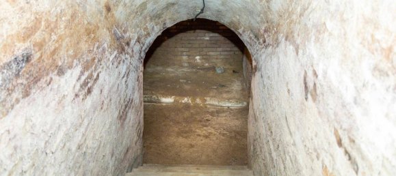 1 غرف نوم منزل في Schonkirchen-Reyersdorf, Austria رقم 114747 23