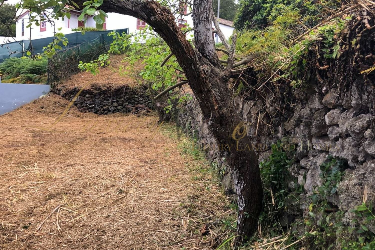 Grundstück in Tenerife, Spain, Nr. 150908