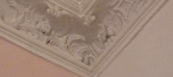 114m² Office in Schoneberg, Germany No. 295075 14