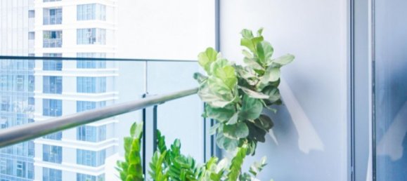 2 bedrooms Apartment in Binh Thanh, Vietnam No. 18060 29