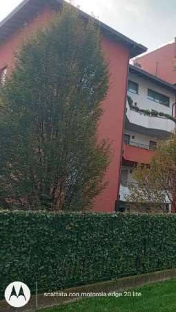 1 chambre Appartement à Legnano, Italy No. 310246