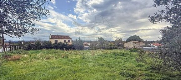 1151m² Land in Pietroso, France No. 240852 14