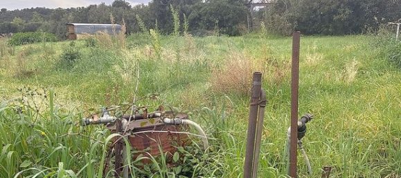 1151m² Land in Pietroso, France No. 240852 10