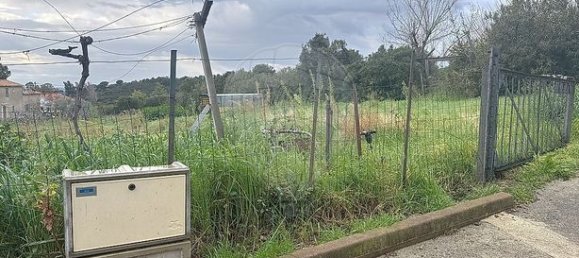 1151m² Land in Pietroso, France No. 240852 11