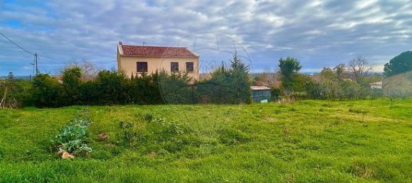 1151m² Land in Pietroso, France No. 240852 5