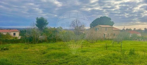 1151m² Land in Pietroso, France No. 240852 4
